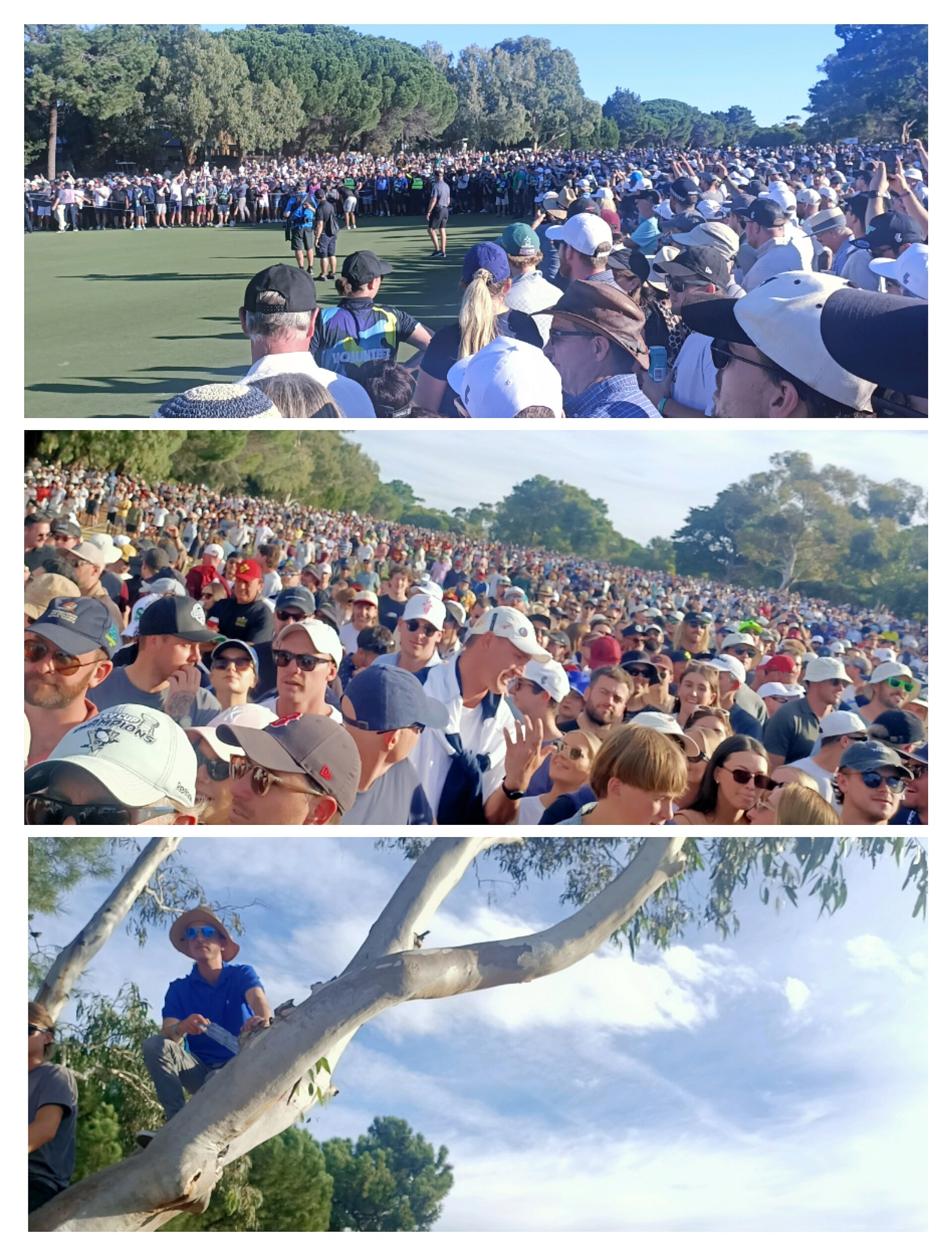 LIV Golf Chaos as Massive Layoffs Strike!